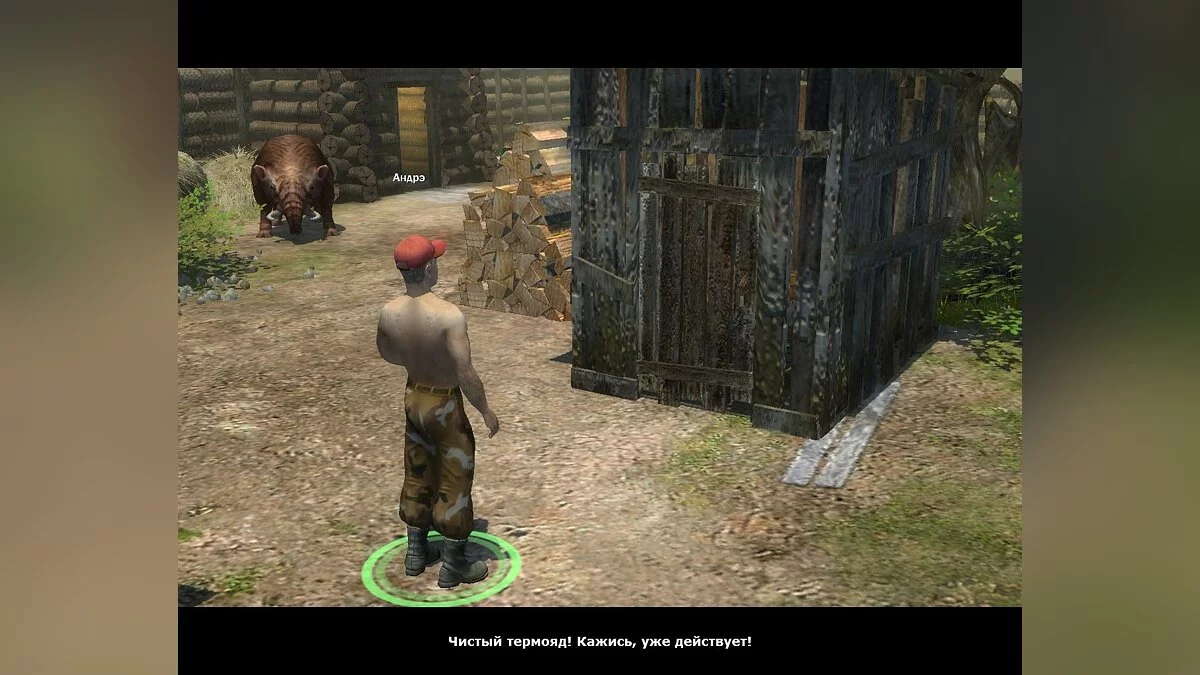 Картинка из 