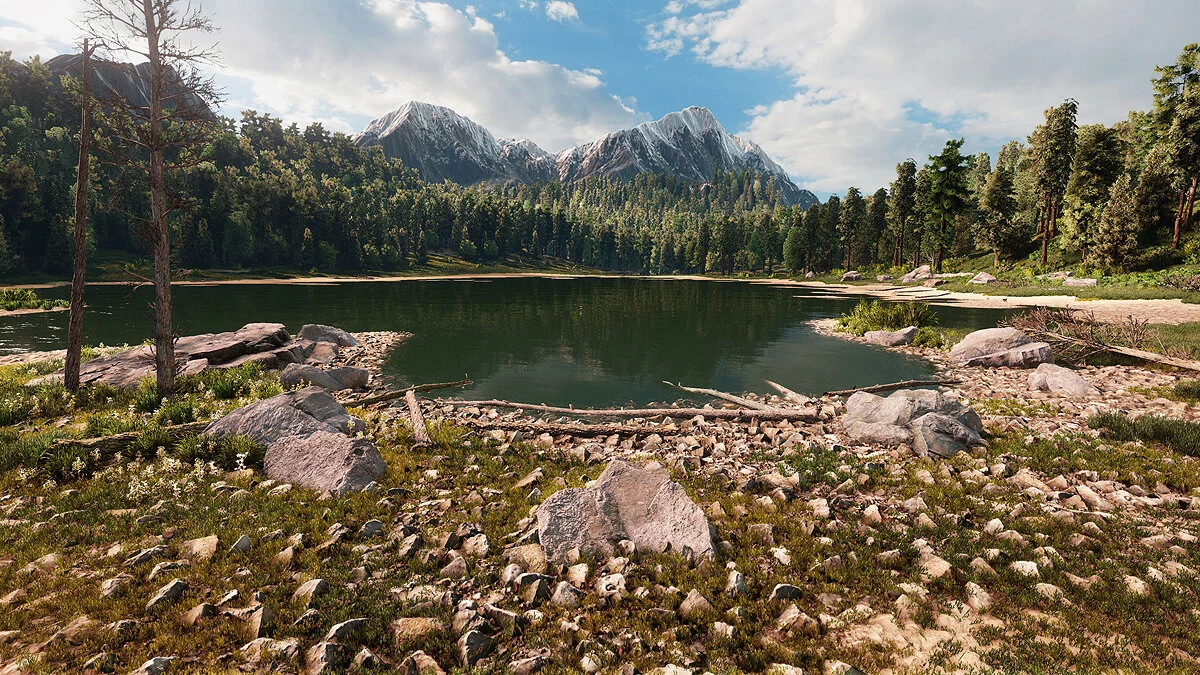 Картинка из 