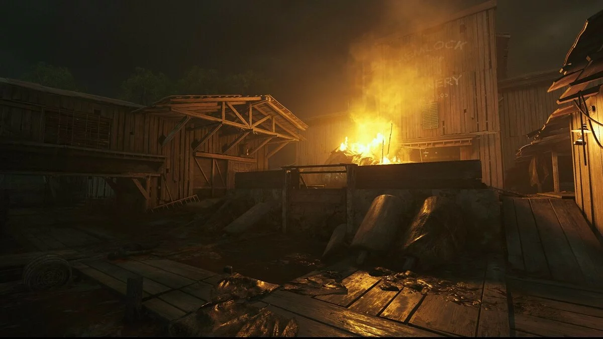 Скриншоты из Hunt: Showdown 1896 / Картинка 134