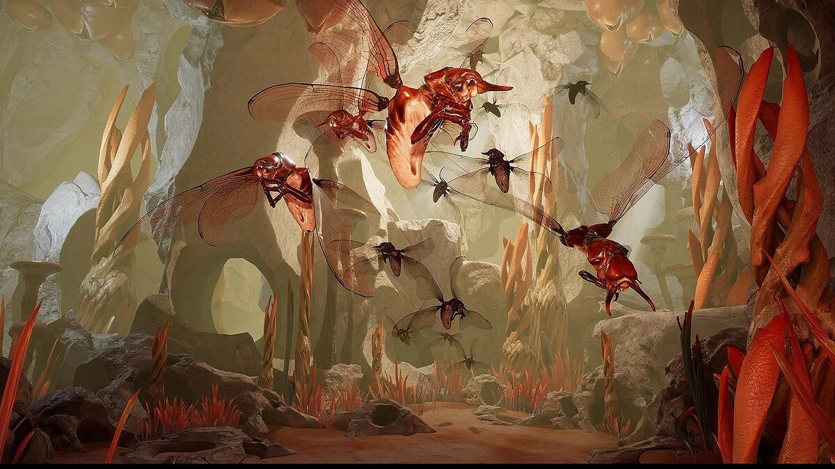 Картинка из 