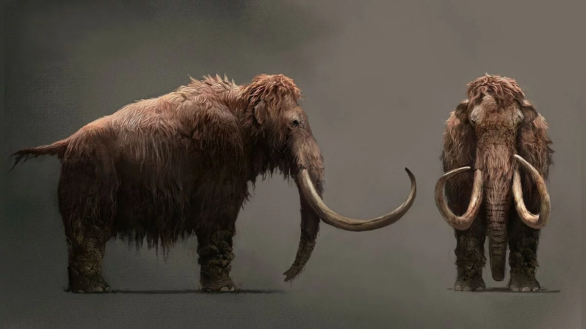 Арт из Far Cry: Primal / Картинка 29