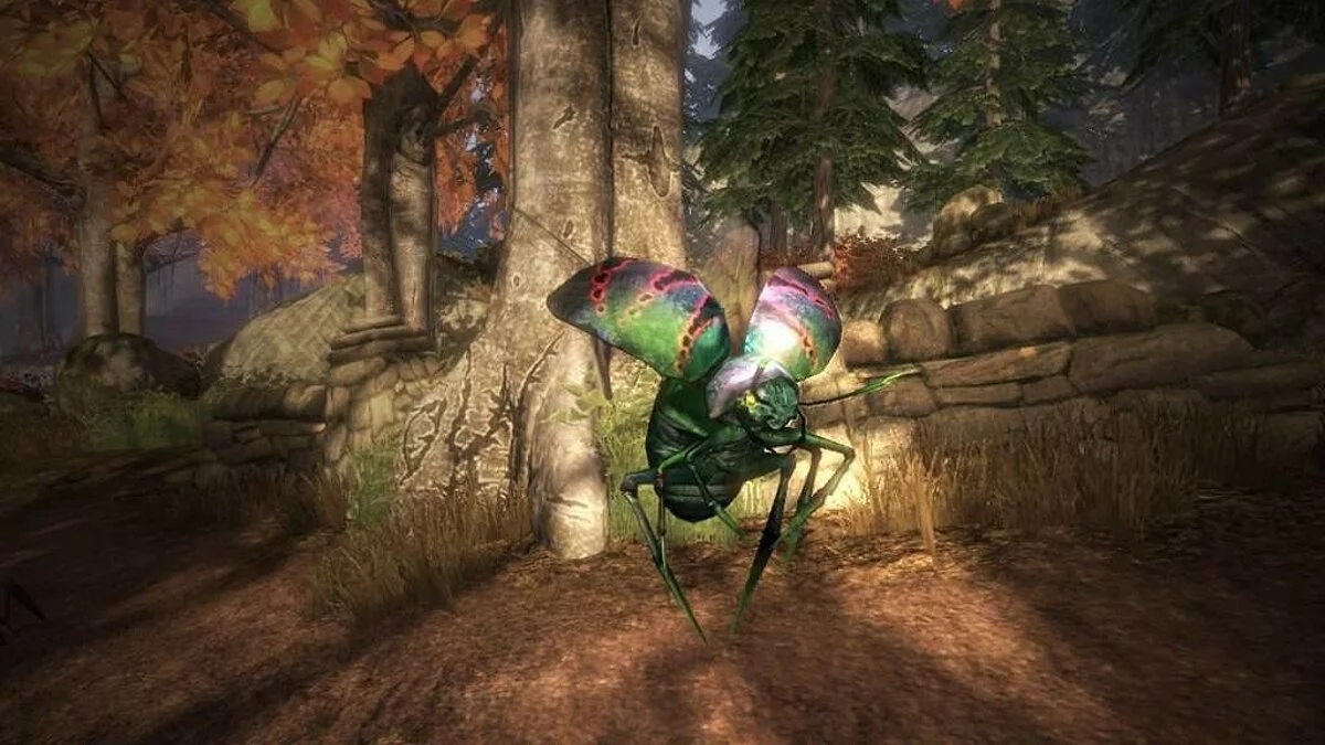 Скриншоты из Fable 2 / Картинка 124