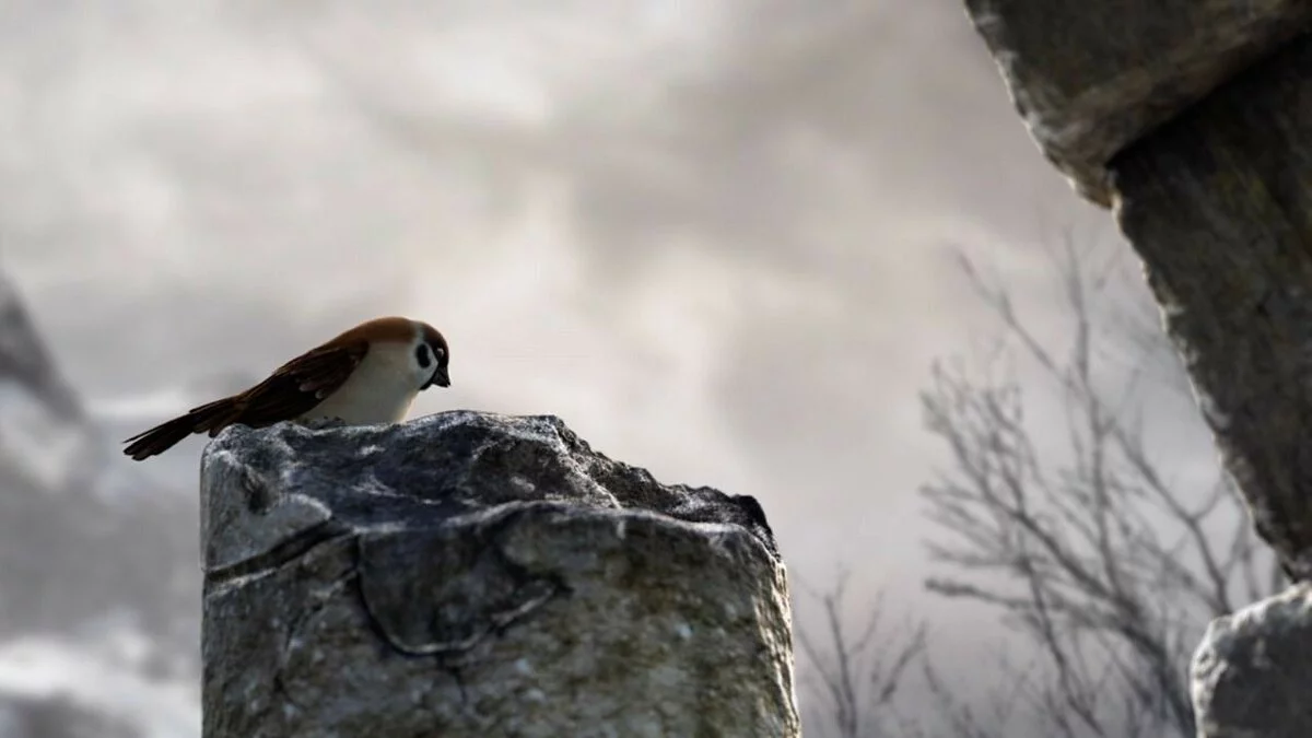 Скриншоты из Fable 2 / Картинка 141