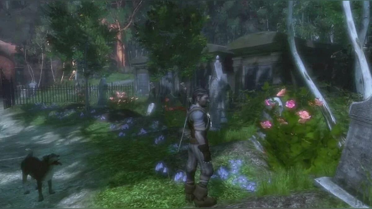 Скриншоты из Fable 2 / Картинка 3