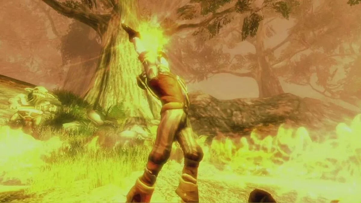 Скриншоты из Fable 2 / Картинка 4