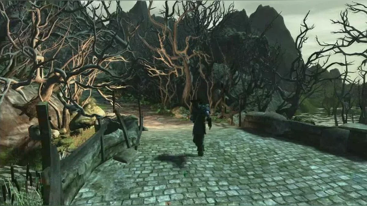 Скриншоты из Fable 2 / Картинка 11