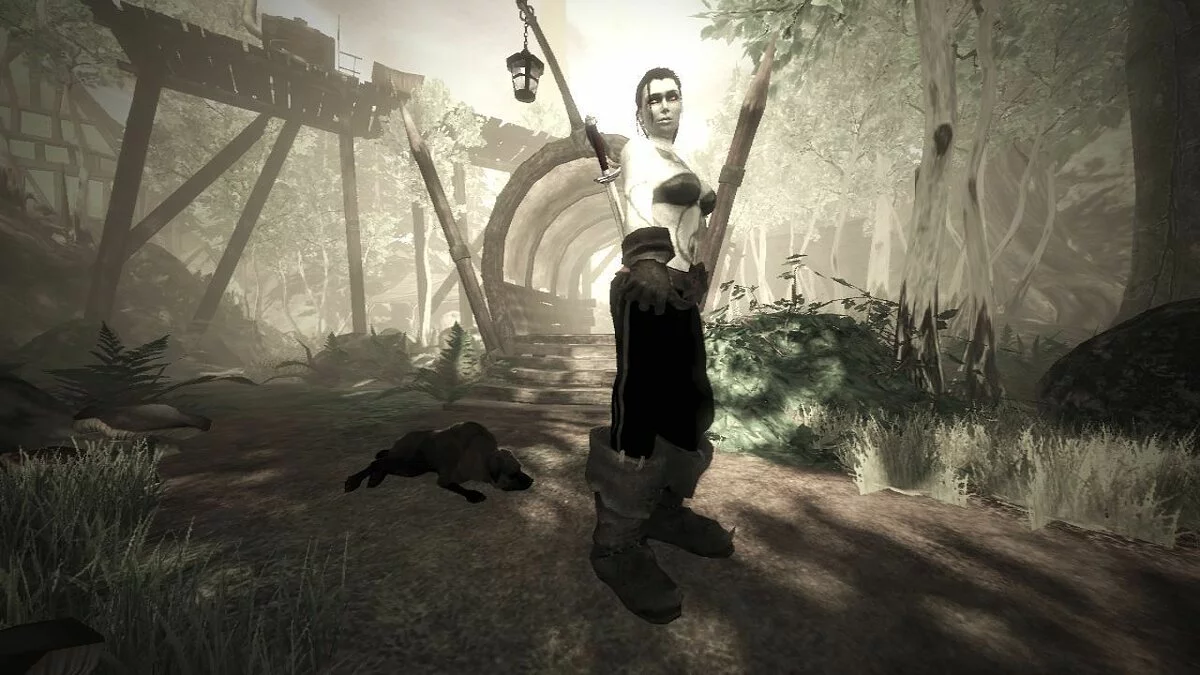 Скриншоты из Fable 2 / Картинка 18