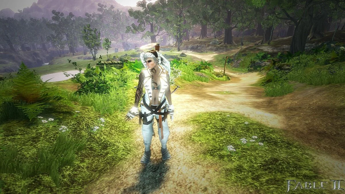 Скриншоты из Fable 2 / Картинка 53