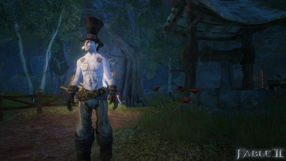 Скриншоты из Fable 2 / Картинка 89