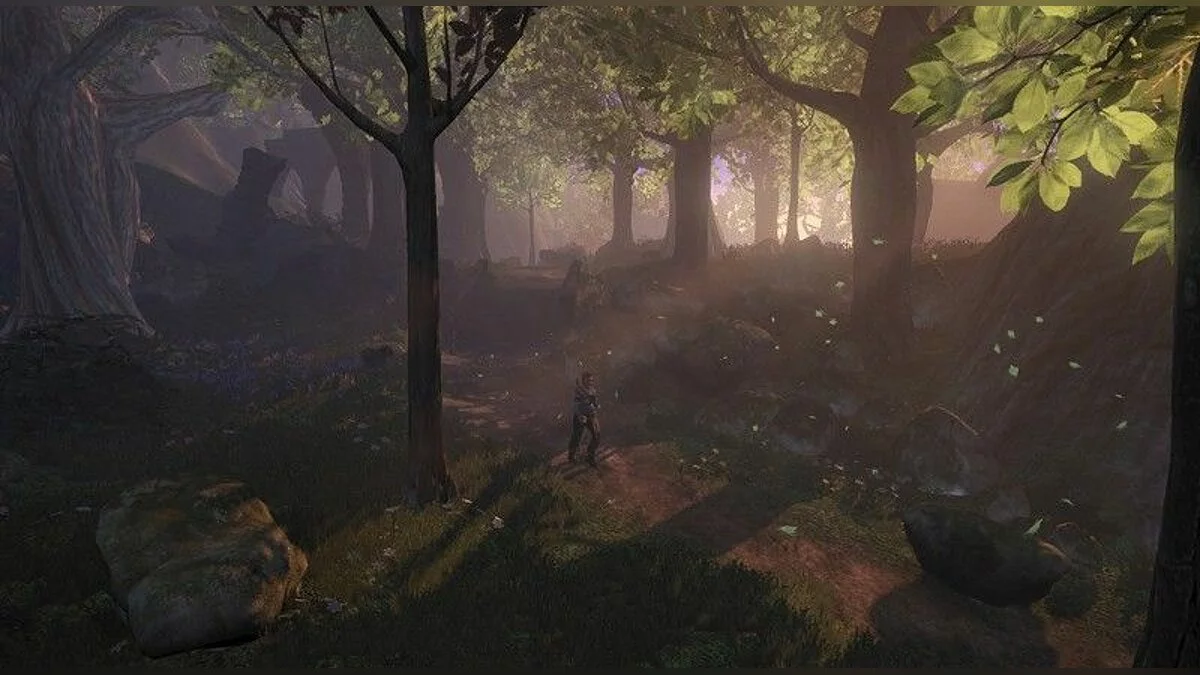 Скриншоты из Fable 2 / Картинка 103