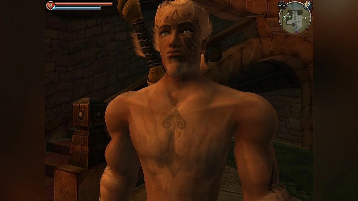 Скриншоты из Fable: The Lost Chapters / Картинка 28