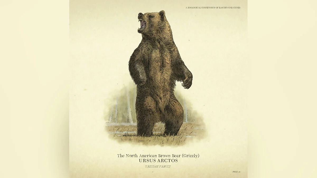 Арт из Red Dead Redemption 2 / Картинка 51