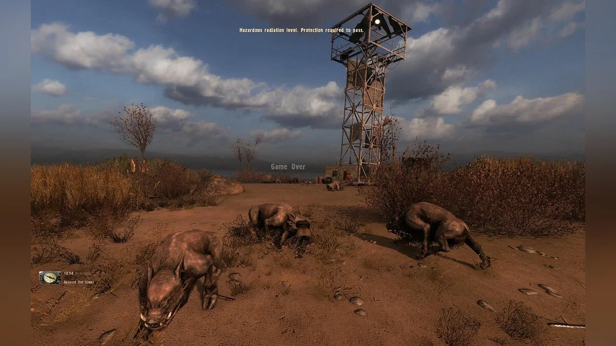 Картинка из 