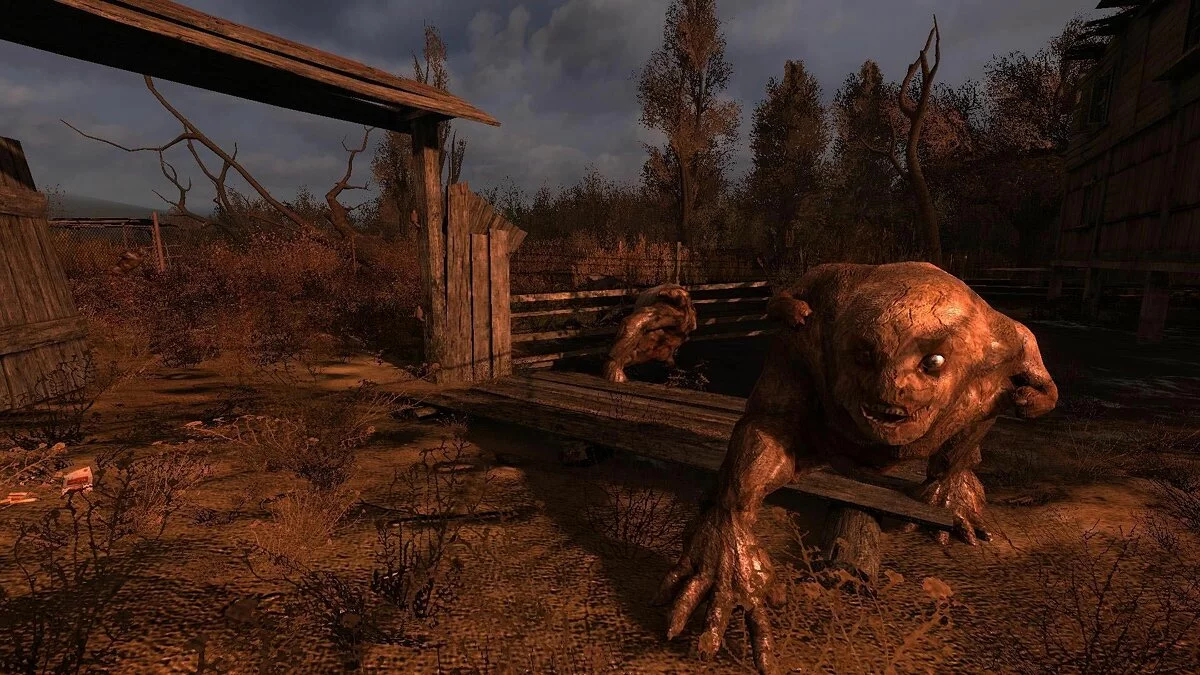 Картинка из 