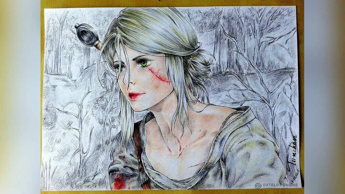 Девушки из Witcher / Картинка 103