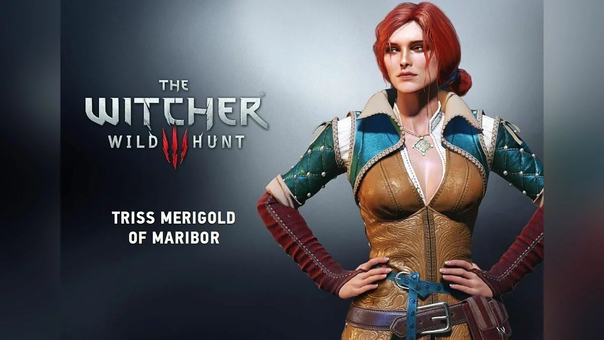 Девушки из Witcher / Картинка 160