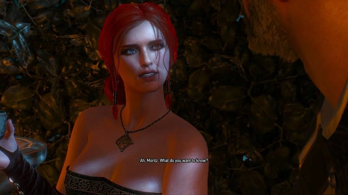 Девушки из Witcher / Картинка 140