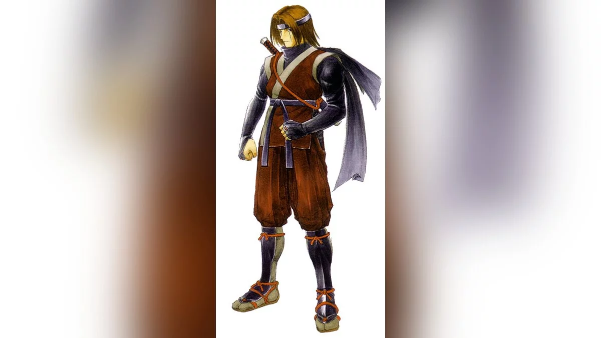 Арт из Dead or Alive 3 / Картинка 5