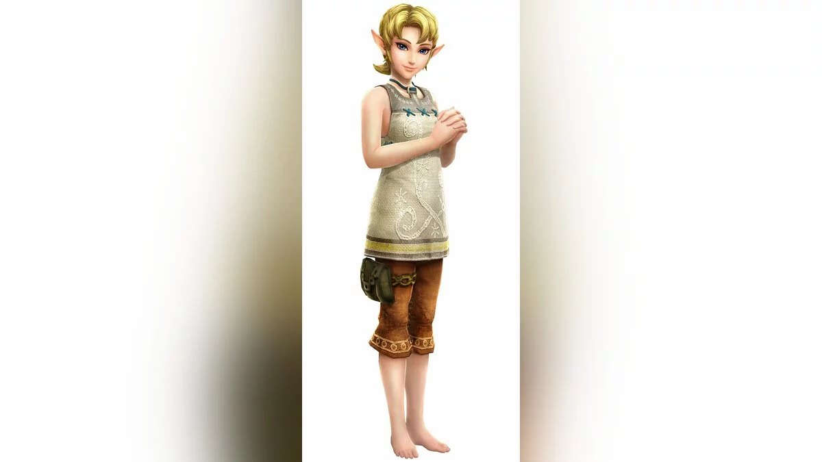 Арт из Hyrule Warriors / Картинка 61