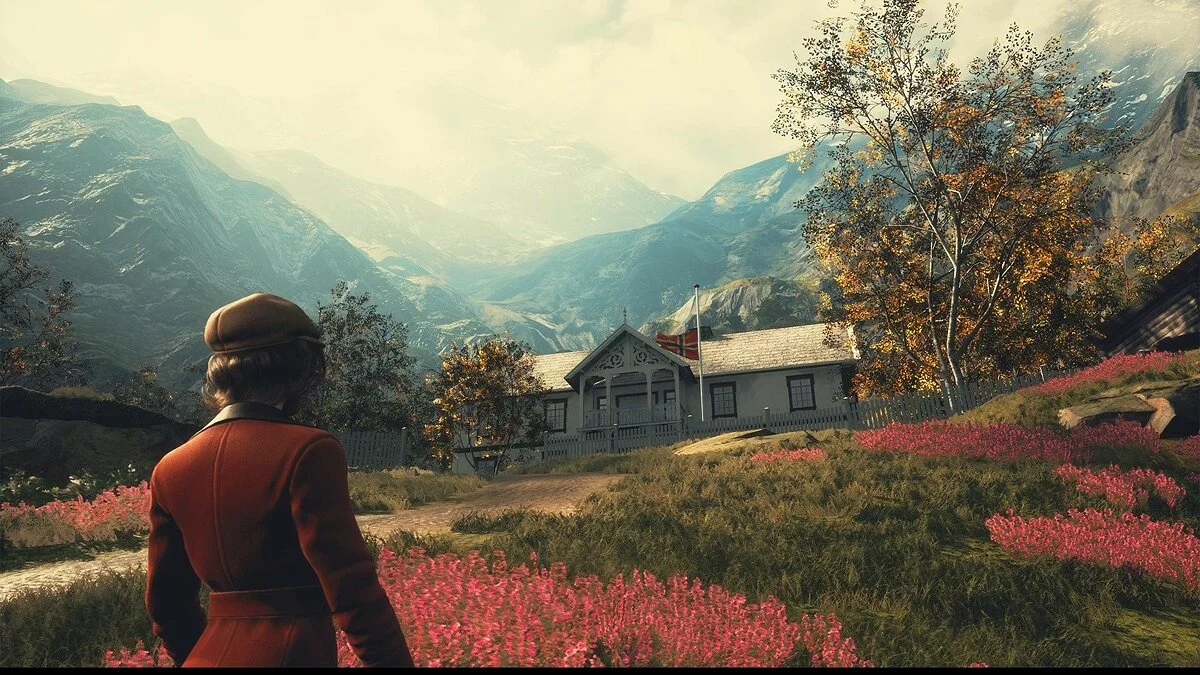 Картинка из 