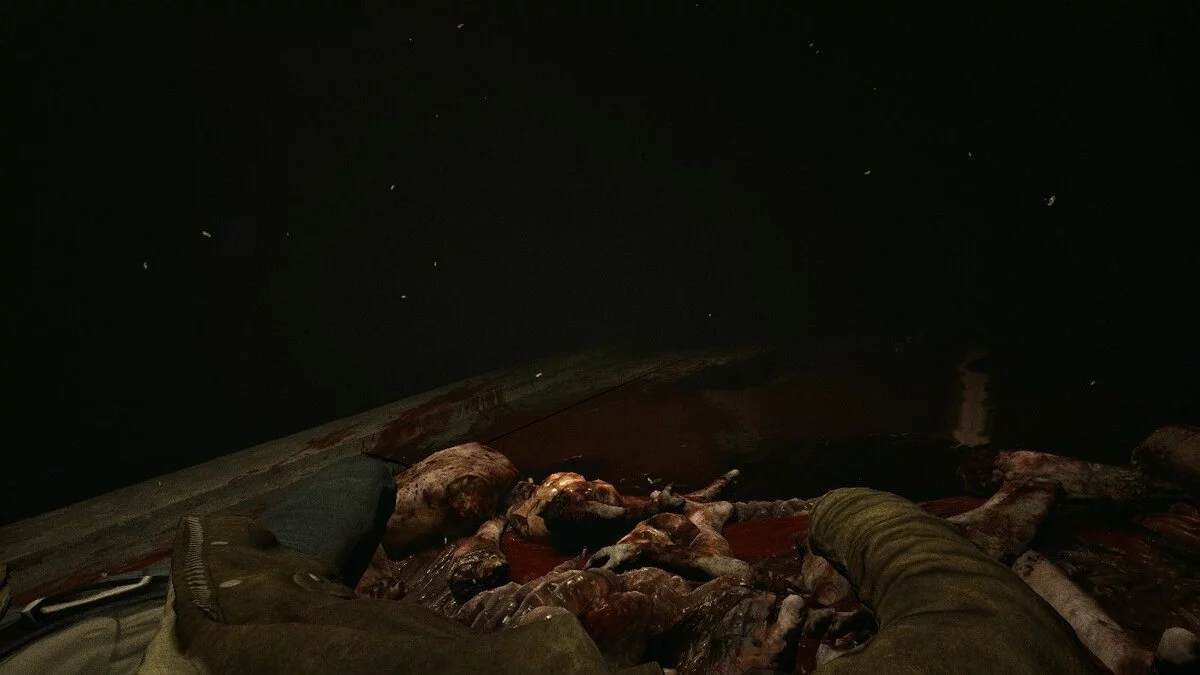 Скриншоты из Outlast / Картинка 43