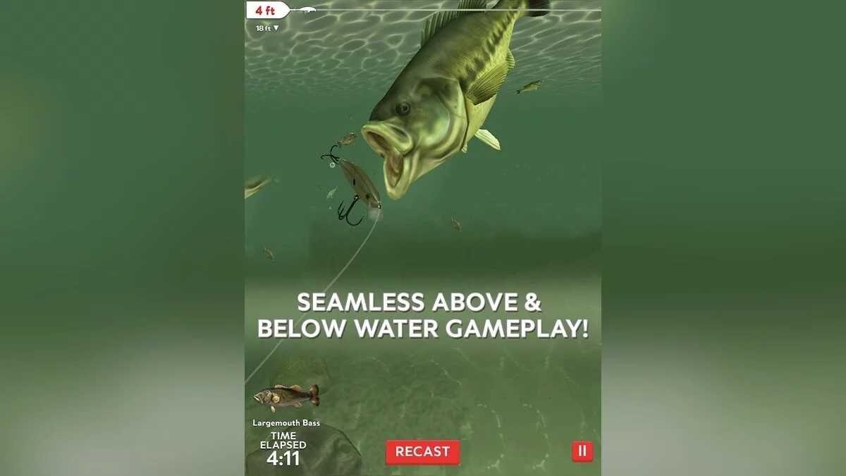 Картинка из 