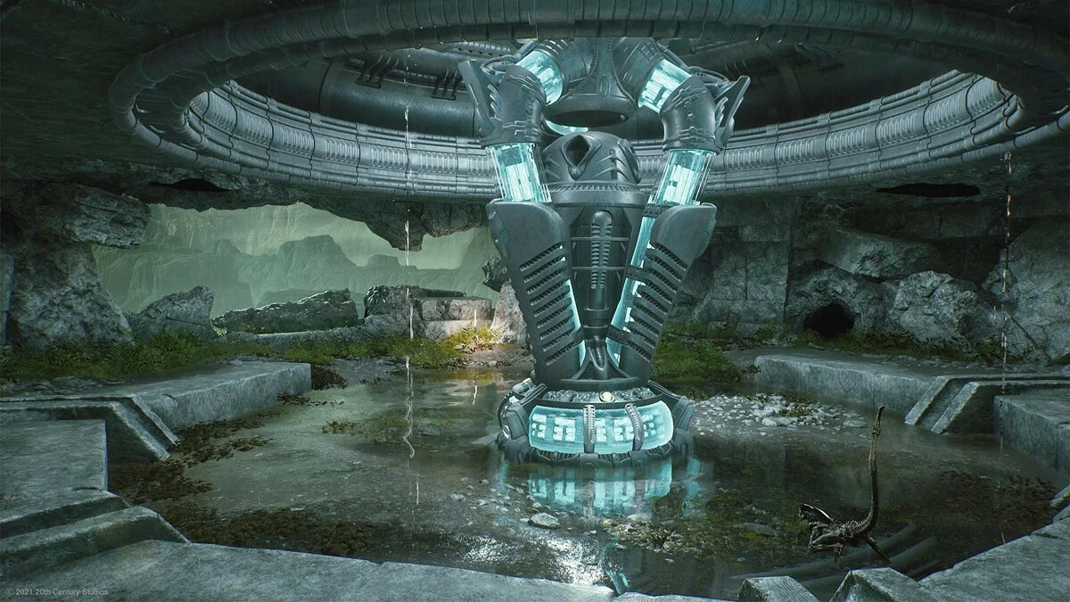 Картинка из 