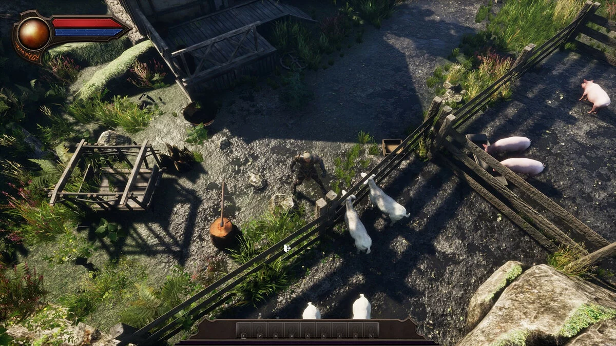 Картинка из 