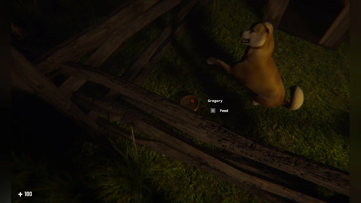 Картинка из 