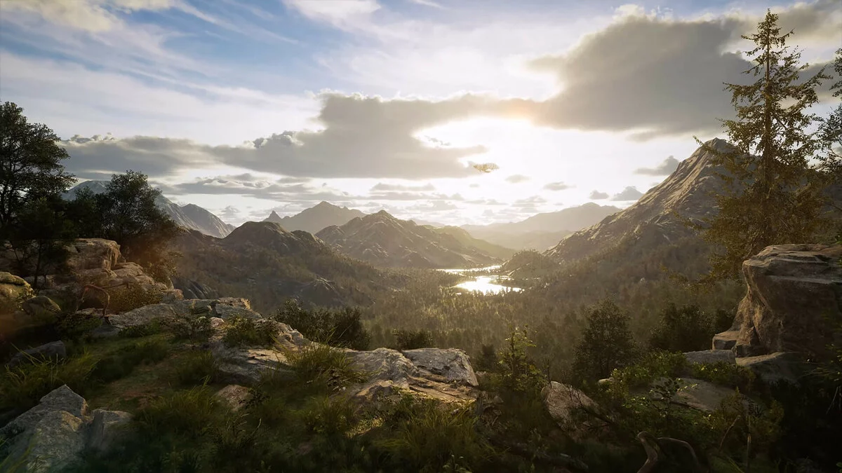 Картинка из 