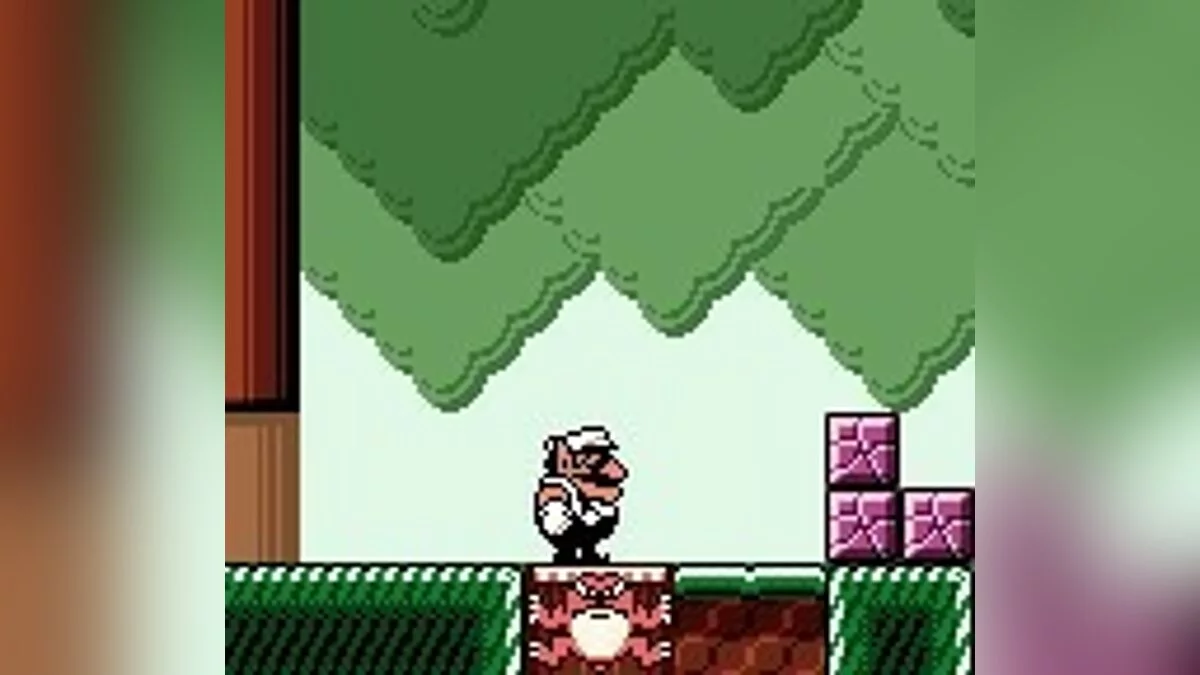 Скриншоты из Wario Land 3 / Картинка 59