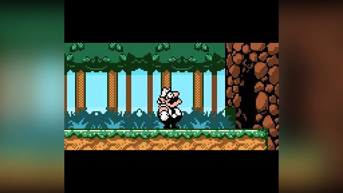 Скриншоты из Wario Land 3 / Картинка 10