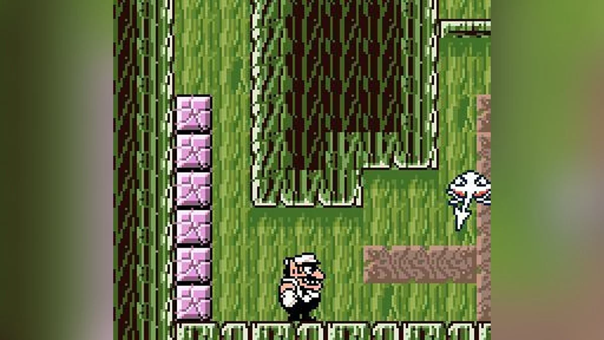 Скриншоты из Wario Land 3 / Картинка 36