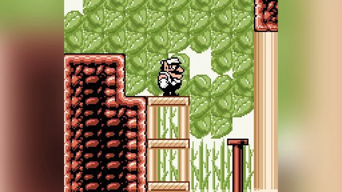 Скриншоты из Wario Land 3 / Картинка 41