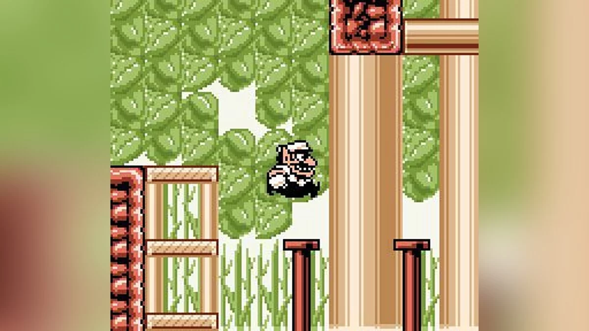 Скриншоты из Wario Land 3 / Картинка 42