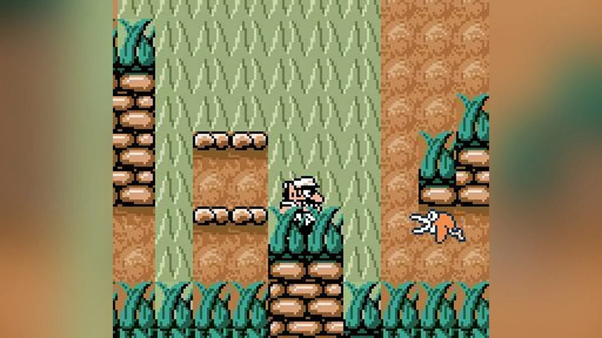 Картинка из 