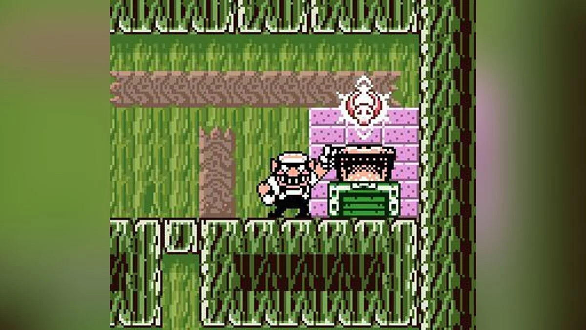 Скриншоты из Wario Land 3 / Картинка 51