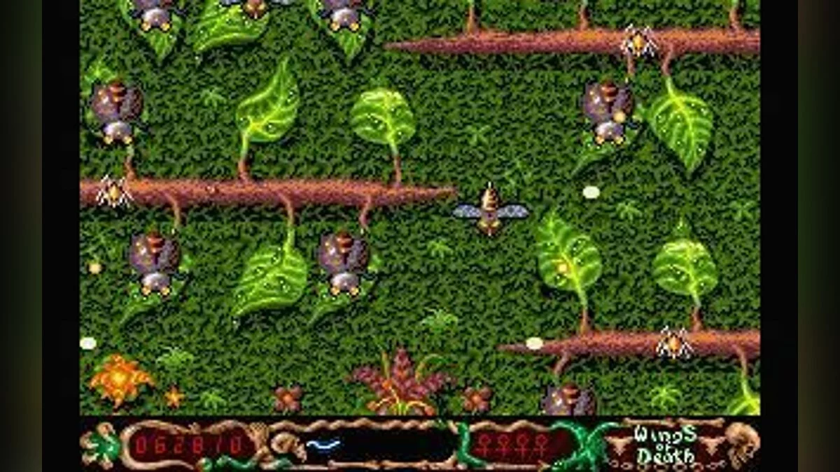 Картинка из 