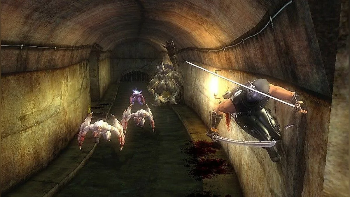 Скриншоты из Ninja Gaiden Sigma Plus / Картинка 10