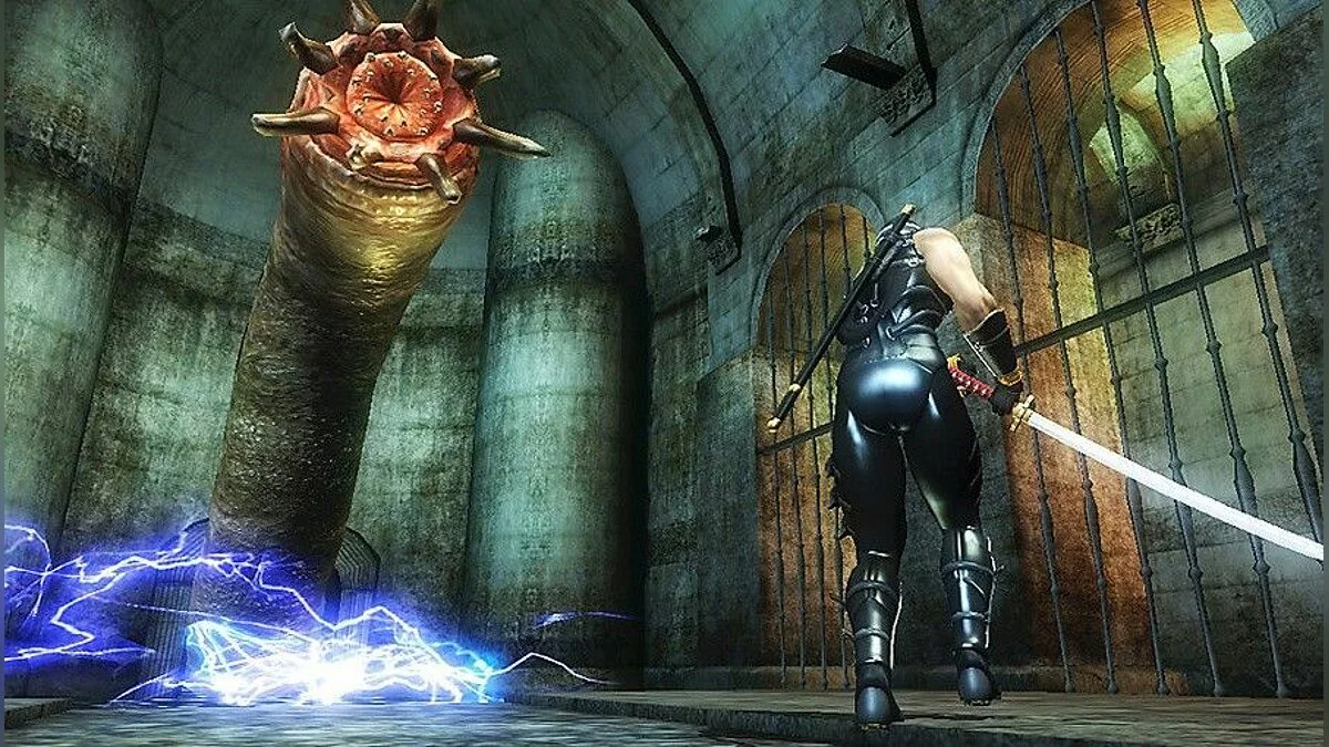 Скриншоты из Ninja Gaiden Sigma Plus / Картинка 14