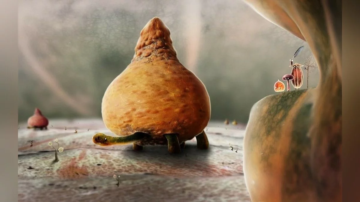 Картинка из 