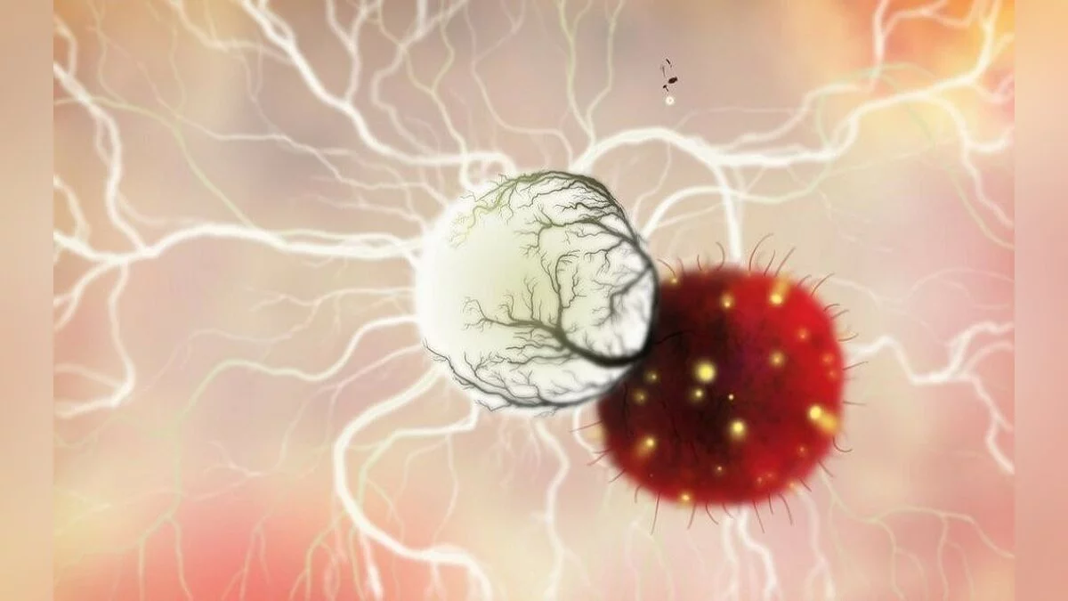 Картинка из 