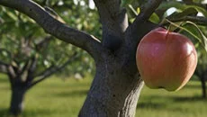 Challengers (1991) - дата выхода для Commodore 64