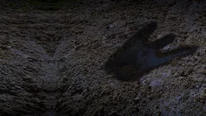 Close Combat - дата выхода для Mac