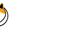 Coin - дата выхода для PC-98