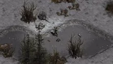 Diablo 2 - дата выхода для PC