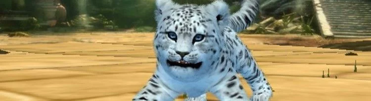 Kinectimals - что это за игра, трейлер, системные требования, отзывы и оценки, цены и скидки, гайды и прохождение, похожие игры 