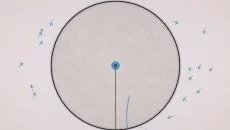 Eufloria - дата выхода для PlayStation 3