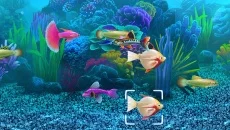 Fish Tycoon - дата выхода для iPhone