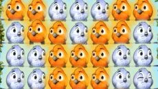 Fluffy Birds - дата выхода для Android
